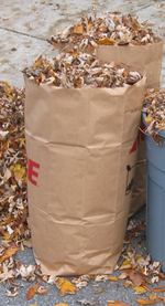 Paper yard waste bags