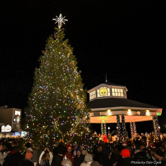Holiday tree lighting event in Rehoboth Beach